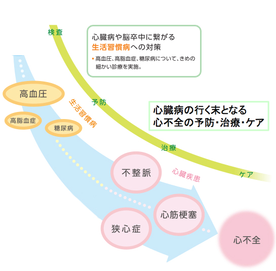 生活習慣病(高血圧・糖尿病・脂質異常症)から循環器疾患、心不全までを総合的に管理します。 生活習慣病(高血圧・糖尿病・脂質異常症)から循環器疾患、心不全までを総合的に管理します。
